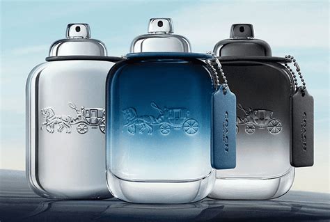 coach grey cologne